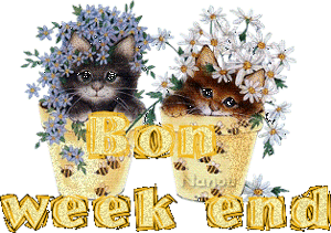 Gif animé bon week-end chats